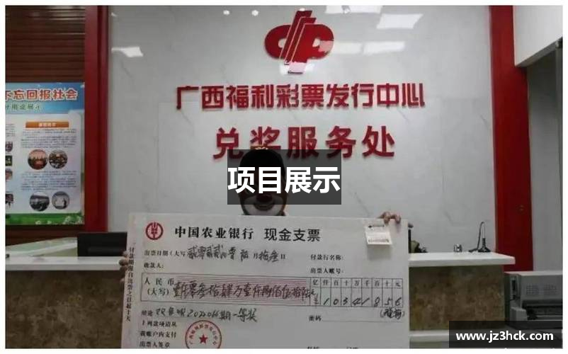 项目展示